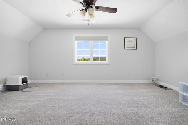 258 Cross Anchor Pl, Piney Flats, TN 37686 - photo 93