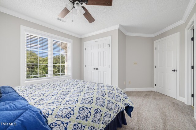 258 Cross Anchor Pl, Piney Flats, TN 37686 - photo 97