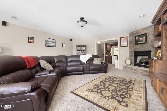258 Cross Anchor Pl, Piney Flats, TN 37686 - photo 101