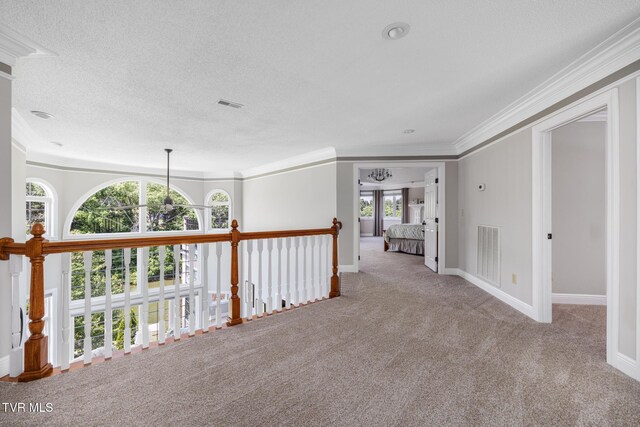 258 Cross Anchor Pl, Piney Flats, TN 37686 - photo 83