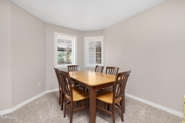258 Cross Anchor Pl, Piney Flats, TN 37686 - photo 108