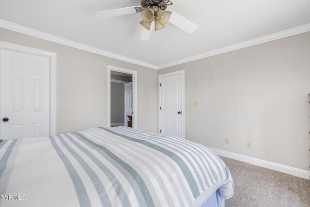 258 Cross Anchor Pl, Piney Flats, TN 37686 - photo 99