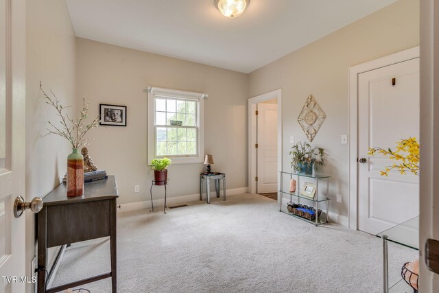601 Tomahawk Dr, Kingsport, TN 37664 - photo 26