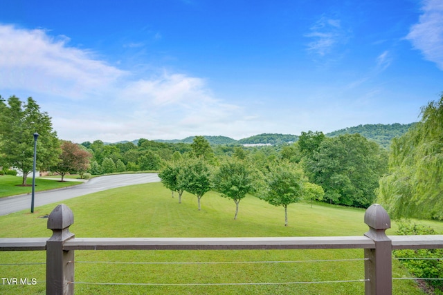 601 Tomahawk Dr, Kingsport, TN 37664 - photo 55