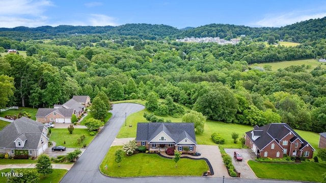 601 Tomahawk Dr, Kingsport, TN 37664 - photo 59