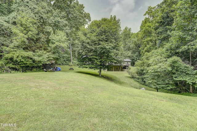 115 Shady, Johnson City, TN 37615 - photo 57
