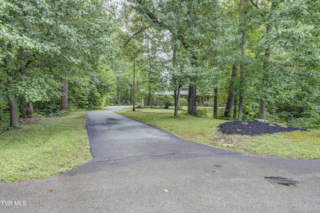 115 Shady, Johnson City, TN 37615 - photo 73