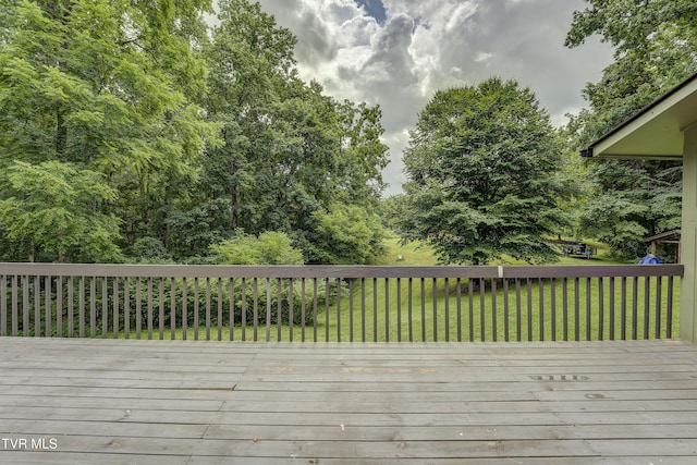 115 Shady, Johnson City, TN 37615 - photo 62