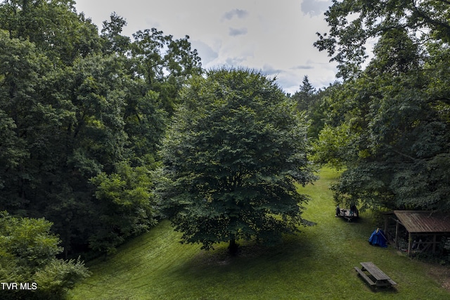 115 Shady, Johnson City, TN 37615 - photo 68