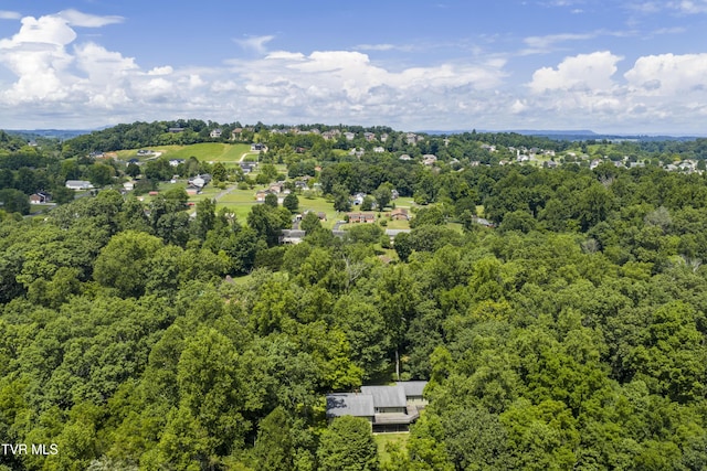 115 Shady, Johnson City, TN 37615 - photo 71