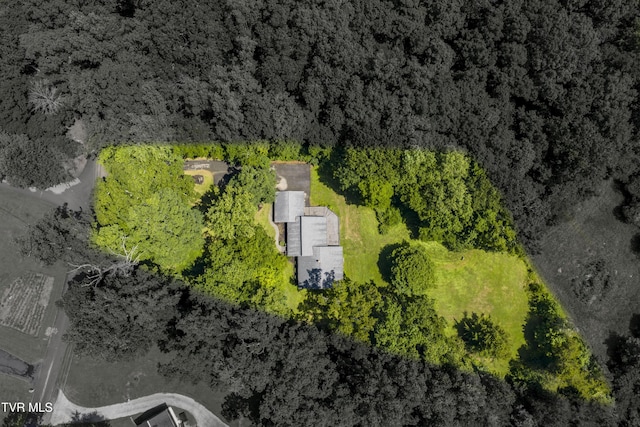115 Shady, Johnson City, TN 37615 - photo 5