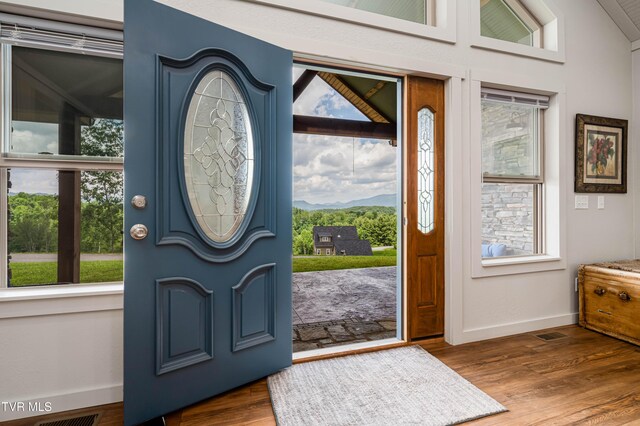 271 Laurel Way, Mountain City, TN 37683 - foyer entrance with baseboards, wood finished floors, and a mountain view