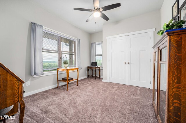 271 Laurel Way, Mountain City, TN 37683 - sitting room featuring carpet, ceiling fan, and baseboards