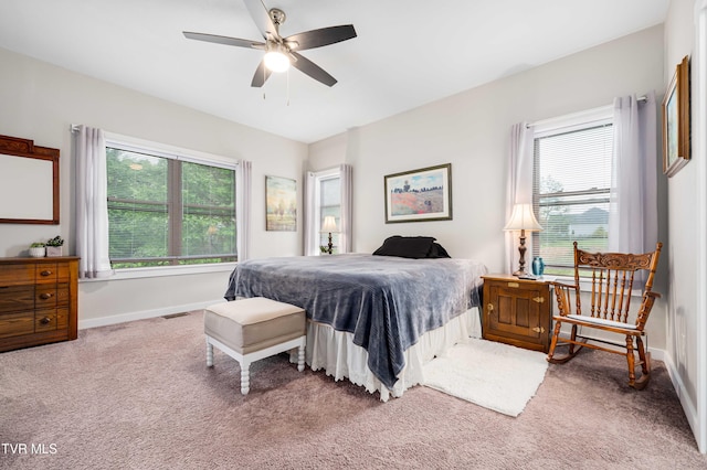 271 Laurel Way, Mountain City, TN 37683 - bedroom featuring carpet floors, multiple windows, and baseboards