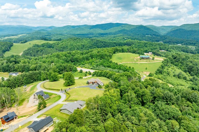 271 Laurel Way, Mountain City, TN 37683 - bird's eye view of a mountain backdrop and a heavily wooded area