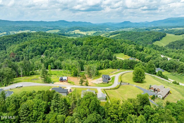 271 Laurel Way, Mountain City, TN 37683 - aerial view of a forest and a mountainous background