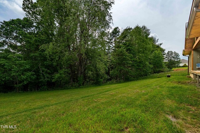 271 Laurel Way, Mountain City, TN 37683 - view of grassy yard