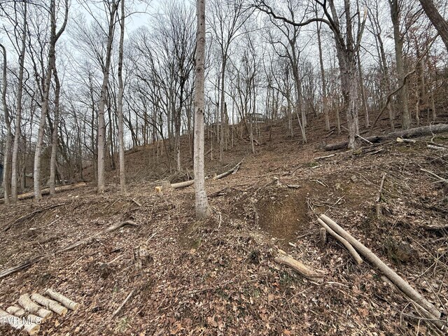 TBD Kings Bay Dr, Kingsport, TN 37660 - photo 4