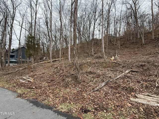 TBD Kings Bay Dr, Kingsport, TN 37660 - photo 5
