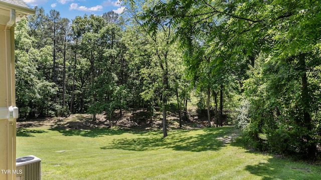 408 Fairway Estates Dr, Blountville, TN 37617 - photo 111