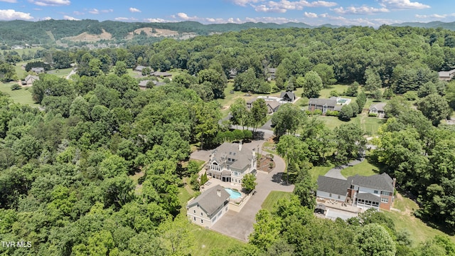 408 Fairway Estates Dr, Blountville, TN 37617 - photo 116