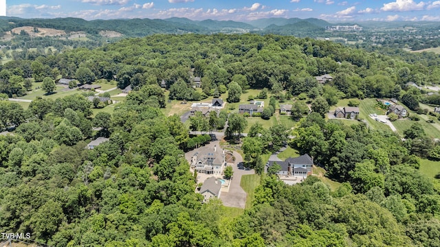 408 Fairway Estates Dr, Blountville, TN 37617 - photo 117