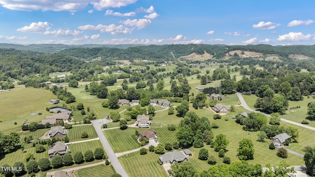 408 Fairway Estates Dr, Blountville, TN 37617 - photo 118