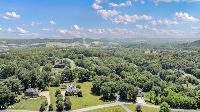 408 Fairway Estates Dr, Blountville, TN 37617 - photo 119