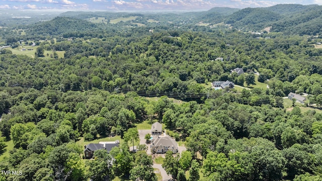 408 Fairway Estates Dr, Blountville, TN 37617 - photo 122
