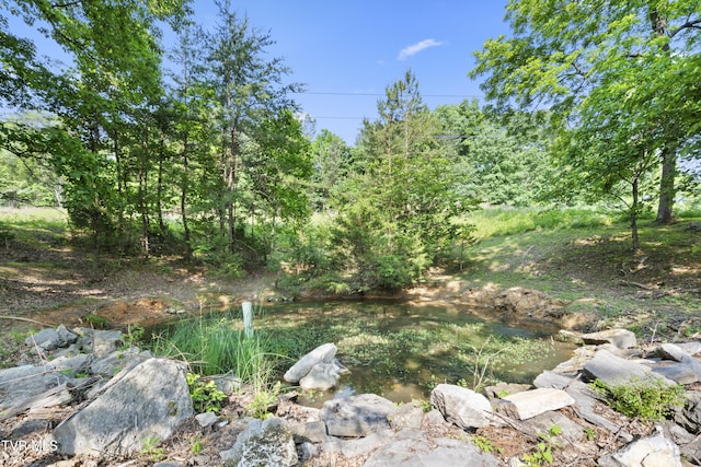 408 Fairway Estates Dr, Blountville, TN 37617 - photo 138