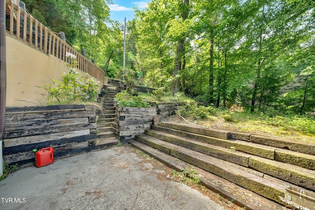 310 Cove Ridge Ln, Butler, TN 37640 - photo 73