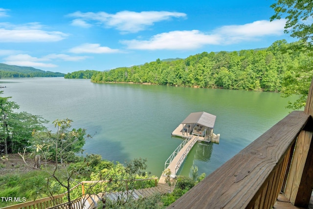 310 Cove Ridge Ln, Butler, TN 37640 - photo 13