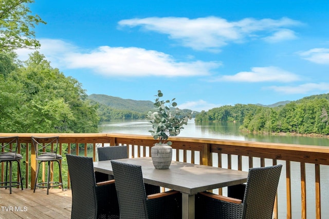 310 Cove Ridge Ln, Butler, TN 37640 - photo 33