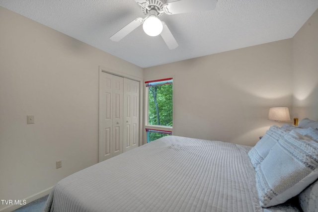 310 Cove Ridge Ln, Butler, TN 37640 - photo 54