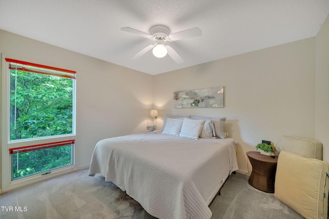 310 Cove Ridge Ln, Butler, TN 37640 - photo 55