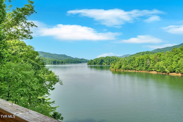 310 Cove Ridge Ln, Butler, TN 37640 - photo 60