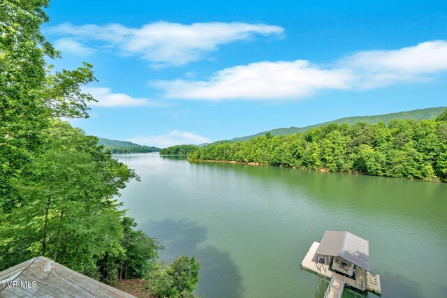310 Cove Ridge Ln, Butler, TN 37640 - photo 61