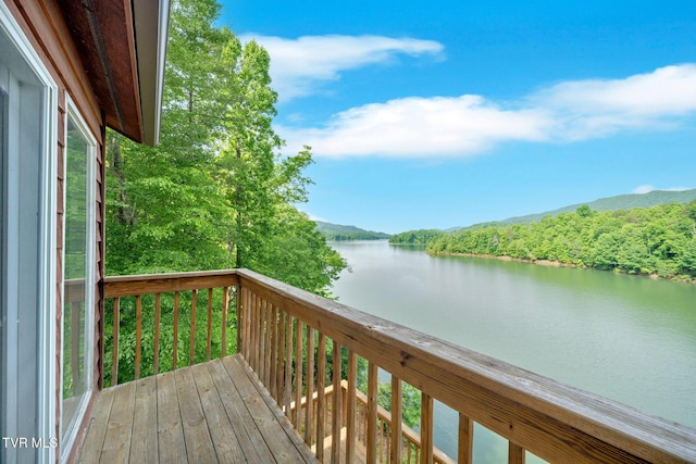 310 Cove Ridge Ln, Butler, TN 37640 - photo 63