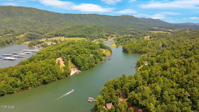 310 Cove Ridge Ln, Butler, TN 37640 - photo 76