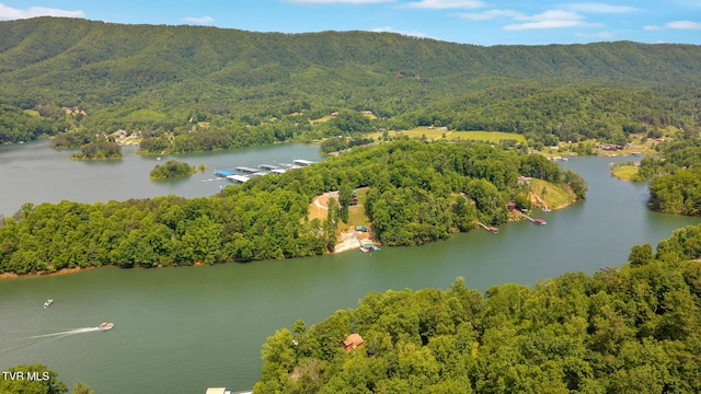 310 Cove Ridge Ln, Butler, TN 37640 - photo 77
