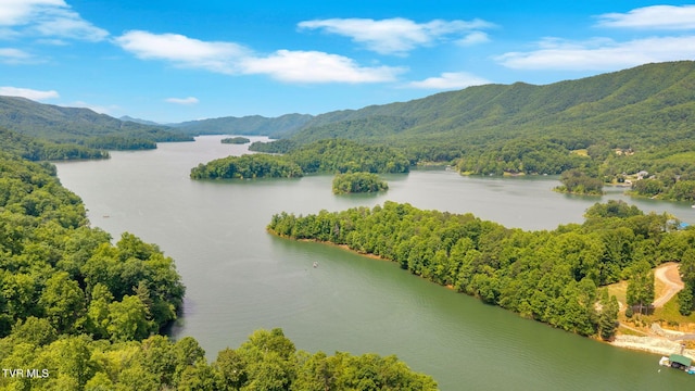 310 Cove Ridge Ln, Butler, TN 37640 - photo 75