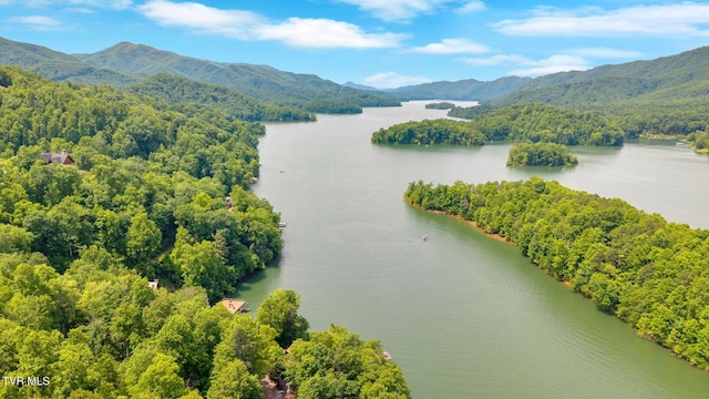 310 Cove Ridge Ln, Butler, TN 37640 - photo 74