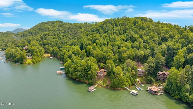 310 Cove Ridge Ln, Butler, TN 37640 - photo 7