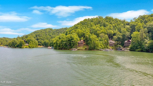 310 Cove Ridge Ln, Butler, TN 37640 - photo 9