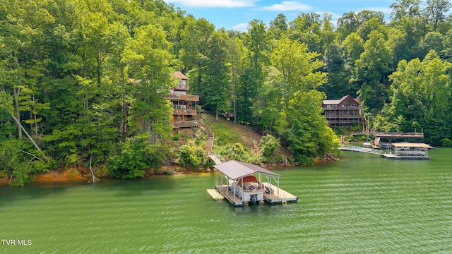 310 Cove Ridge Ln, Butler, TN 37640 - photo 3