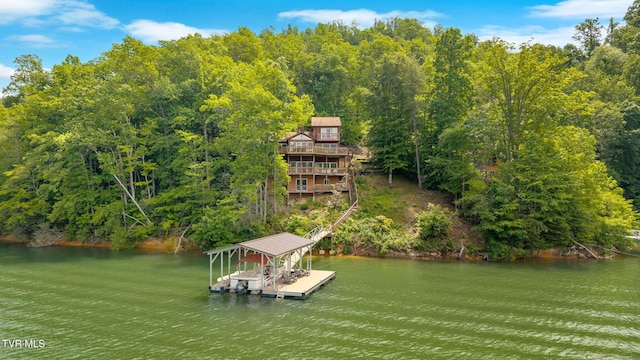 310 Cove Ridge Ln, Butler, TN 37640 - photo 5