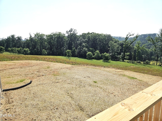 368 Oak Grove Rd, Rogersville, TN 37857 - photo 4