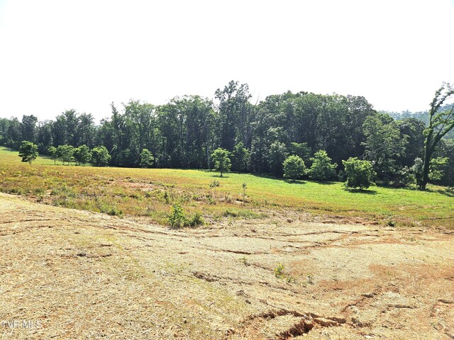 368 Oak Grove Rd, Rogersville, TN 37857 - photo 8