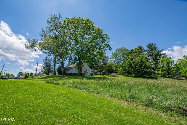 990 W Jefferson St, Wytheville, VA 24382 - photo 27