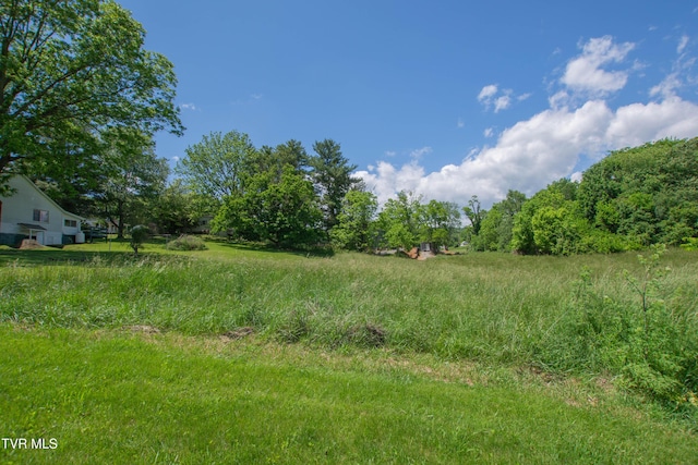 990 W Jefferson St, Wytheville, VA 24382 - photo 33
